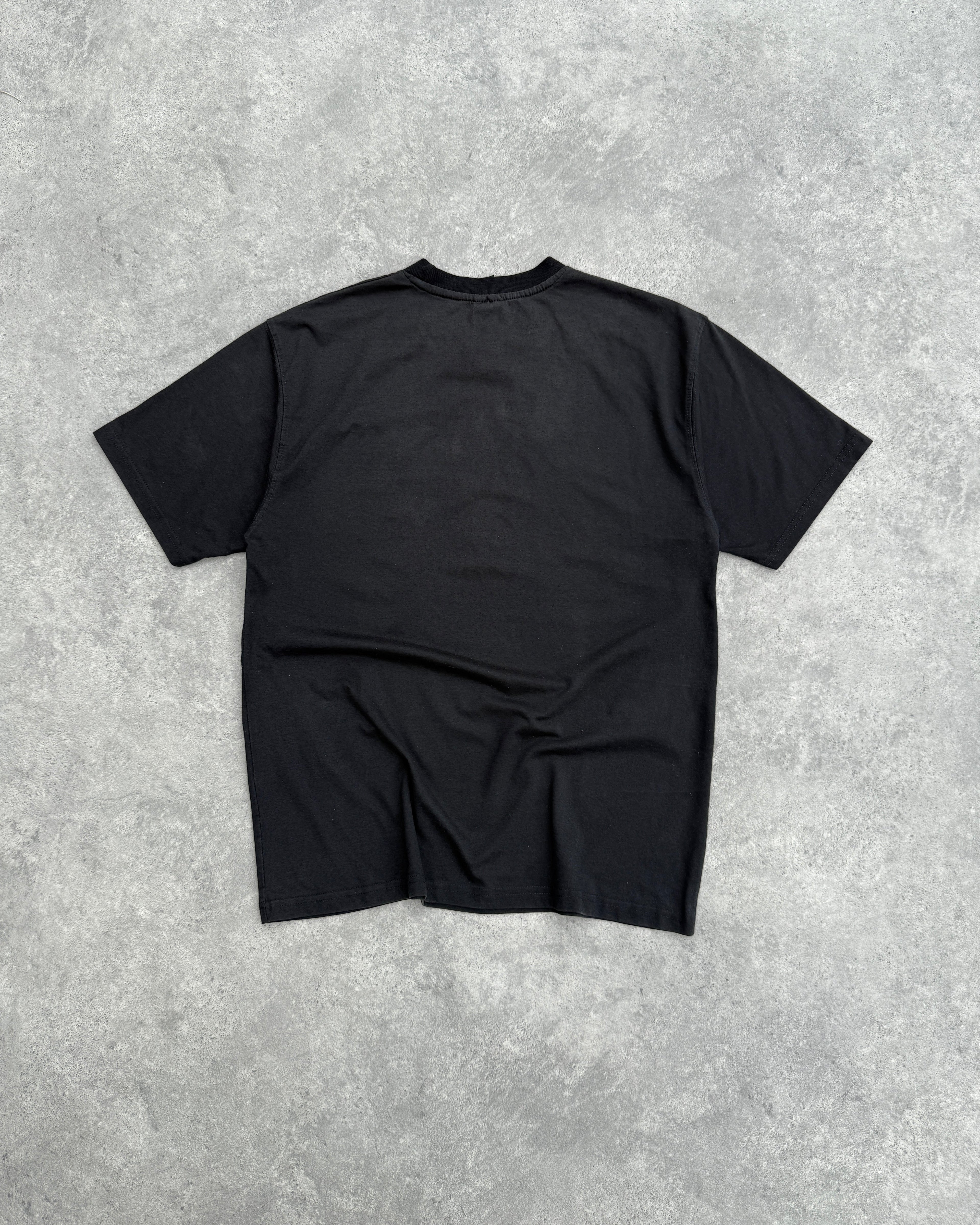 nike acg 2001 heavyweight graphic t-shirt in black, back view